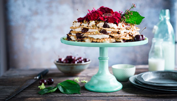 Kuchen auf mintfarbener Platte